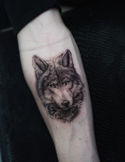 Tatuaje en estilo realista de un lobo en el antebrazo de una persona. El diseño captura con gran detalle la textura del pelaje y la intensidad de la mirada del lobo, logrando un efecto naturalista en tonos de negro y gris. La imagen transmite una sensación de fuerza y misticismo, con una ejecución precisa y sombreado suave para aportar profundidad.
